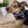 Houndstooth dog bow tie| PETZWELCOME