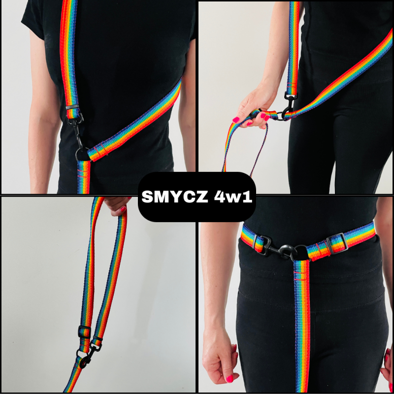Dog leash 4 in 1 Rainbow | PETZWELCOME