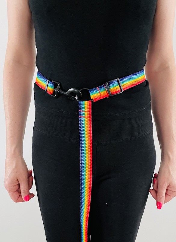 Dog leash 4 in 1 Rainbow | PETZWELCOME