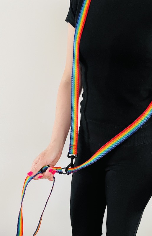 Dog leash 4 in 1 Rainbow | PETZWELCOME