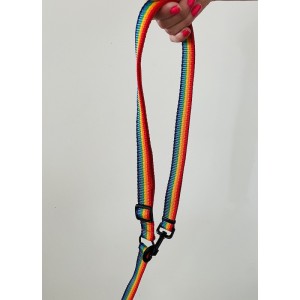 Dog leash 4 in 1 Rainbow | PETZWELCOME