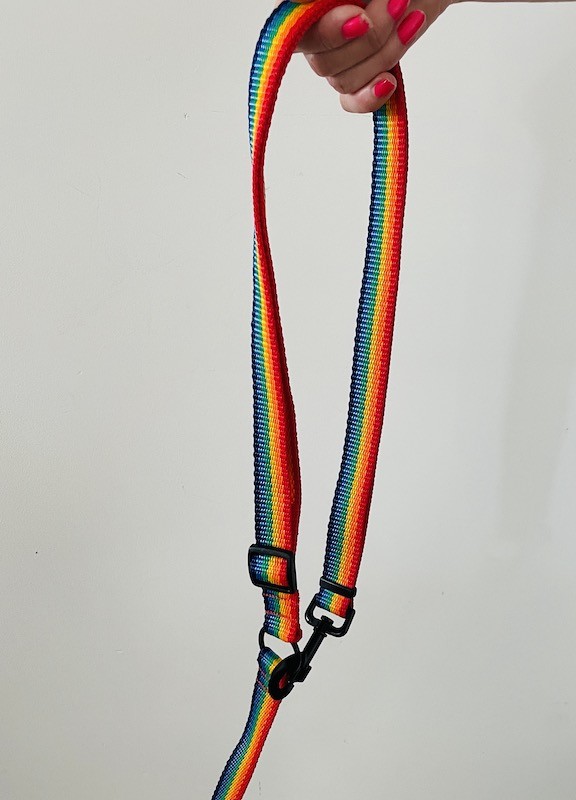 Dog leash 4 in 1 Rainbow | PETZWELCOME