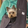 Torba / Nosidło dla psa i kota HARMA | LiliTink | PETZWELCOME