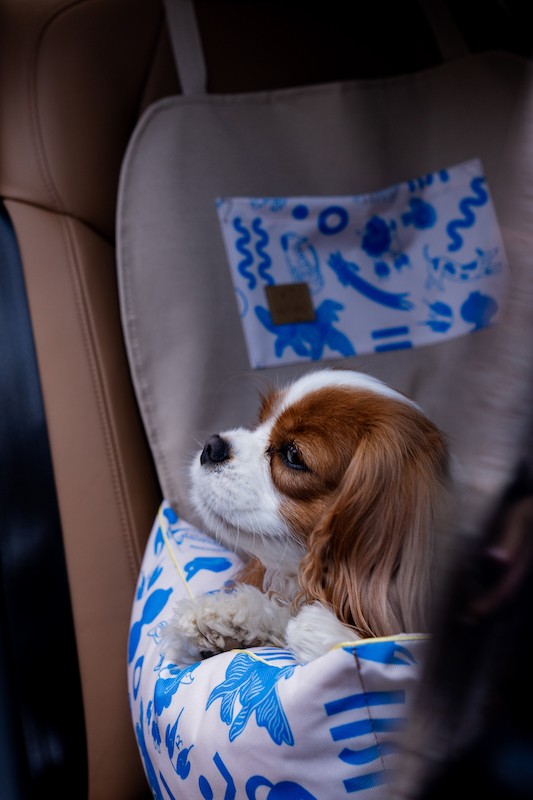 Dog Car Seat BeBobi ERO SOFT MySkylos | Bebobi | PETZWELCOME