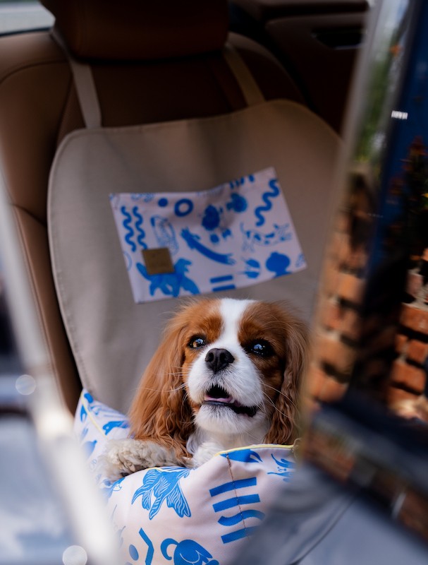 Dog Car Seat BeBobi ERO SOFT MySkylos | Bebobi | PETZWELCOME