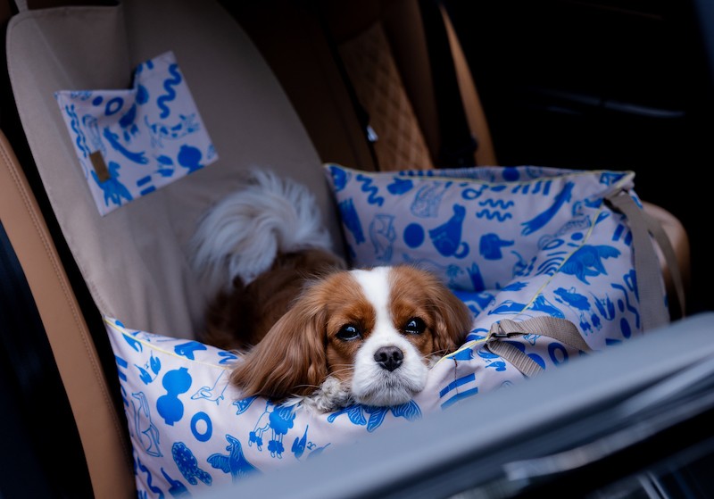 Dog Car Seat BeBobi ERO SOFT MySkylos | Bebobi | PETZWELCOME