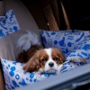 Dog Car Seat BeBobi ERO SOFT MySkylos | Bebobi | PETZWELCOME