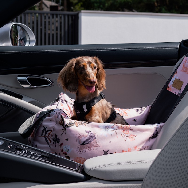 Dog Car Seat BeBobi ERO SOFT Flower Hauer | Bebobi | PETZWELCOME