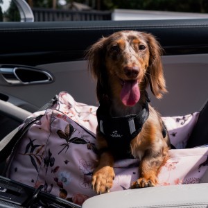Dog Car Seat BeBobi ERO SOFT Flower Hauer | Bebobi | PETZWELCOME
