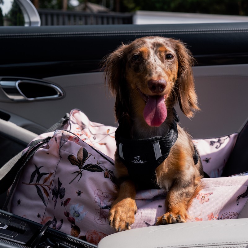 Dog Car Seat BeBobi ERO SOFT Flower Hauer | Bebobi | PETZWELCOME