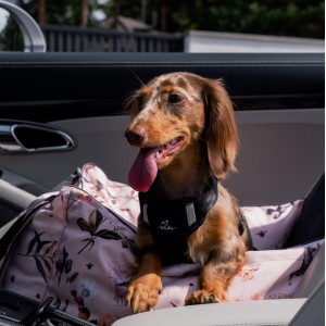 Dog Car Seat BeBobi ERO SOFT Flower Hauer | Bebobi | PETZWELCOME