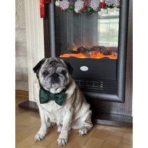 Velvet Dog Bow Tie in Bottle Green | Elegant Handmade Dog Accessory