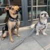 Adjustable dog leash Checkerboard | PETZWELCOME