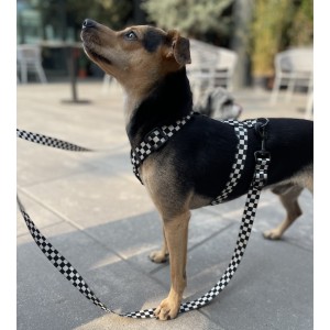 Adjustable dog leash Checkerboard | PETZWELCOME