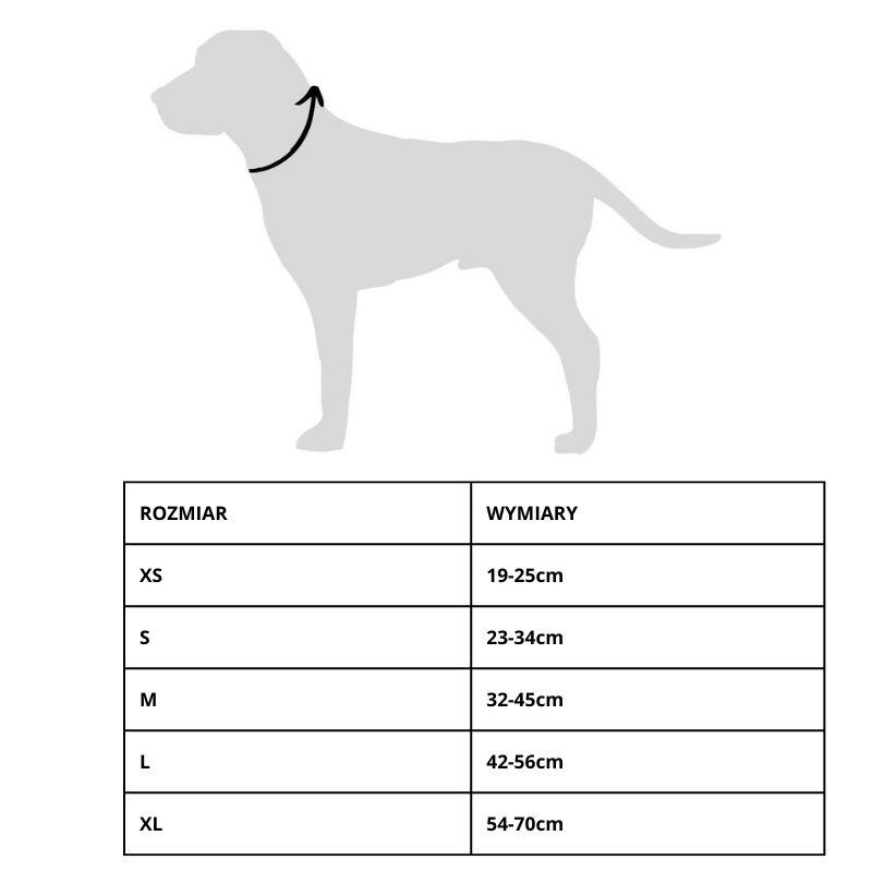 Dog collar Pink Ribbon | PETZWELCOME