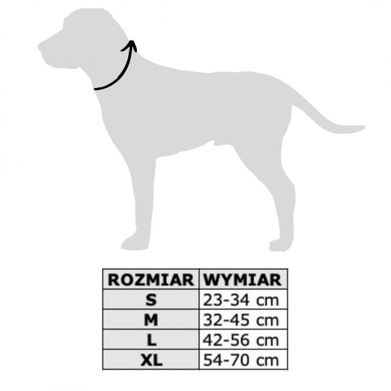 Obroża dla psa Szachownica| PETZWELCOME
