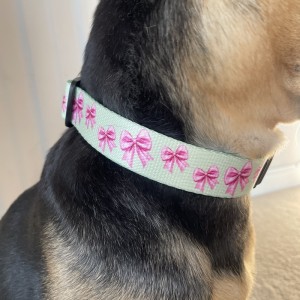 Dog collar Pink Ribbon | PETZWELCOME