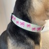 Dog collar Pink Ribbon | PETZWELCOME