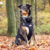 Pressure-free dog harness BeBobi black with AirTag pocke | PETZWELCOME