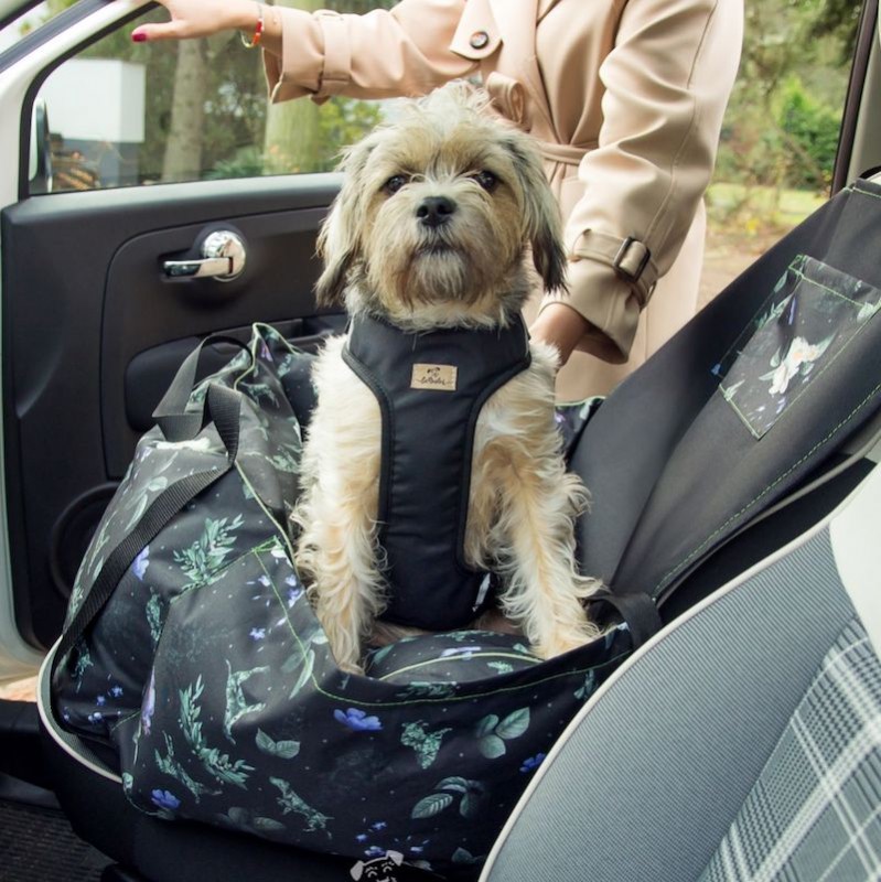 Pressure-free dog harness BeBobi black with AirTag pocke | PETZWELCOME