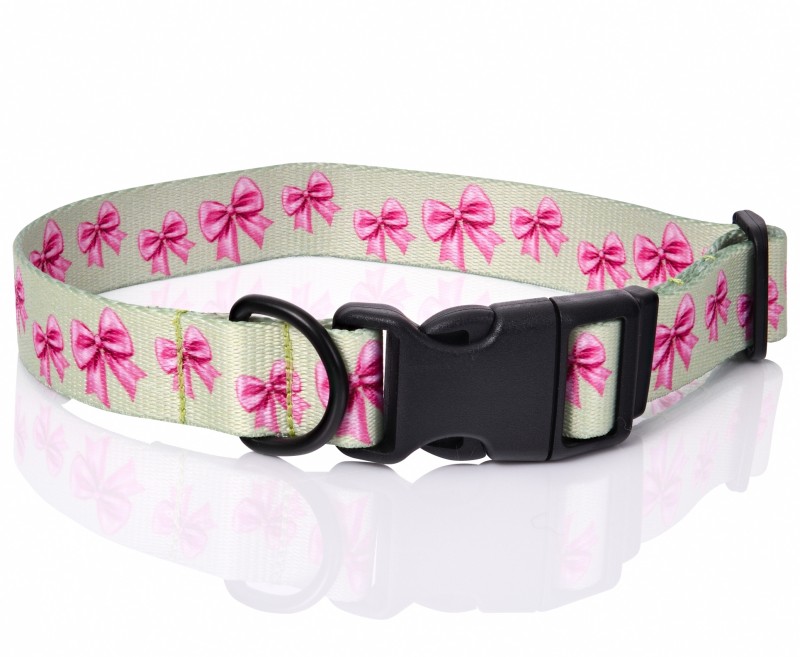 Dog collar Pink Ribbon | PETZWELCOME