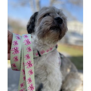 Adjustable dog leash Pink Ribbon | PETZWELCOME