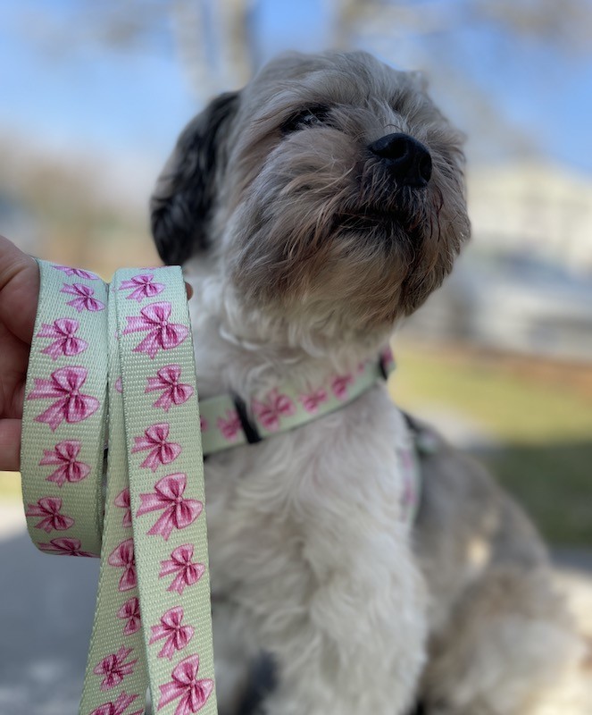Adjustable dog leash Pink Ribbon | PETZWELCOME