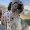 Adjustable dog leash Pink Ribbon | PETZWELCOME