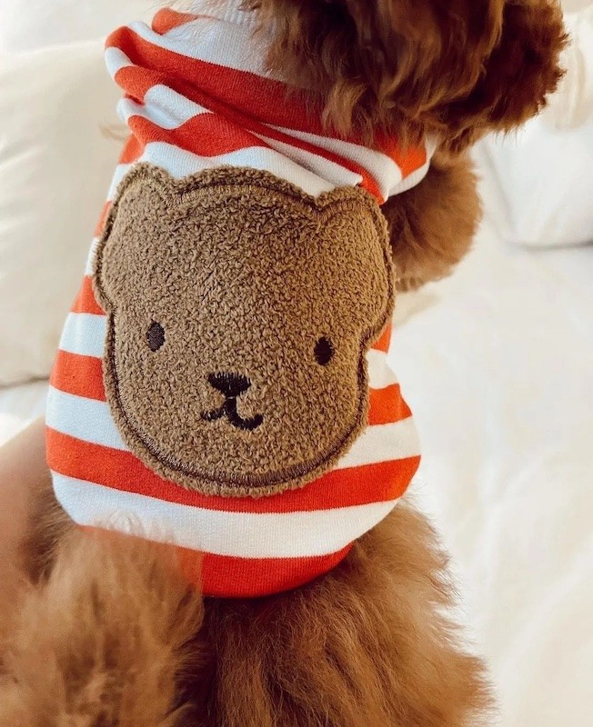 Teddy Blue Striped Dog Shirt with Bear Patch | Chloe's Home |PETZWELCOME