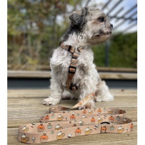 Szelki guard dla psa Puppuccino | PETZWELCOME