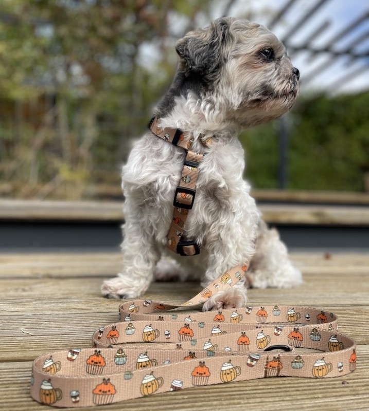 Puppuccino guard dog harness | PETZWELCOME