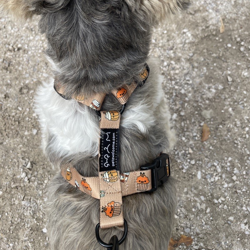 Szelki guard dla psa Puppuccino | PETZWELCOME