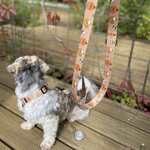 Smycz przepinana 2,4m 3m i 5m Puppuccino | PETZWELCOME