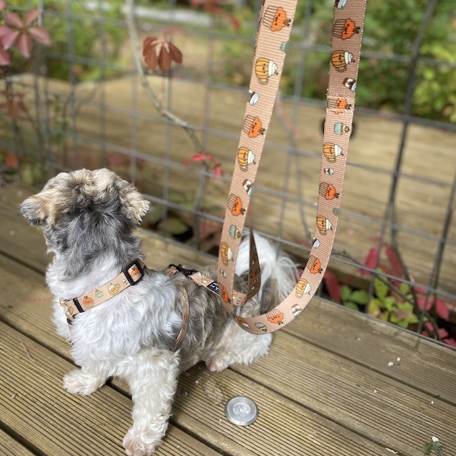 Smycz przepinana 2,4m 3m i 5m Puppuccino | PETZWELCOME