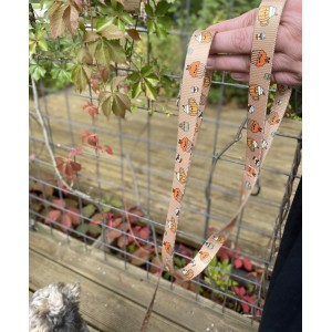 Smycz przepinana 2,4m 3m i 5m Puppuccino | PETZWELCOME