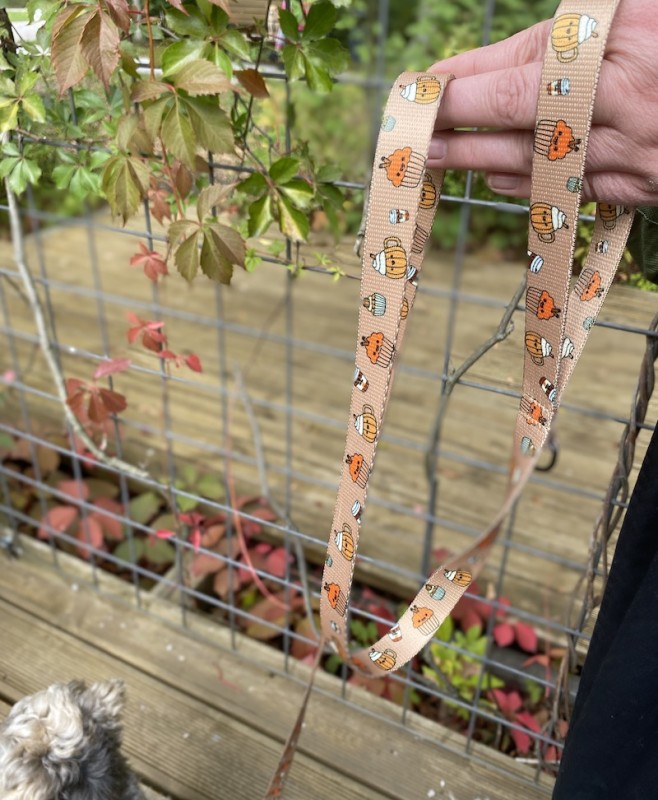 Adjustable dog leash Puppuccino | PETZWELCOME