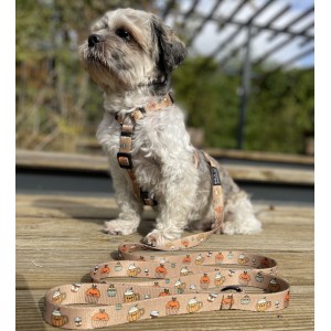 Adjustable dog leash Puppuccino | PETZWELCOME