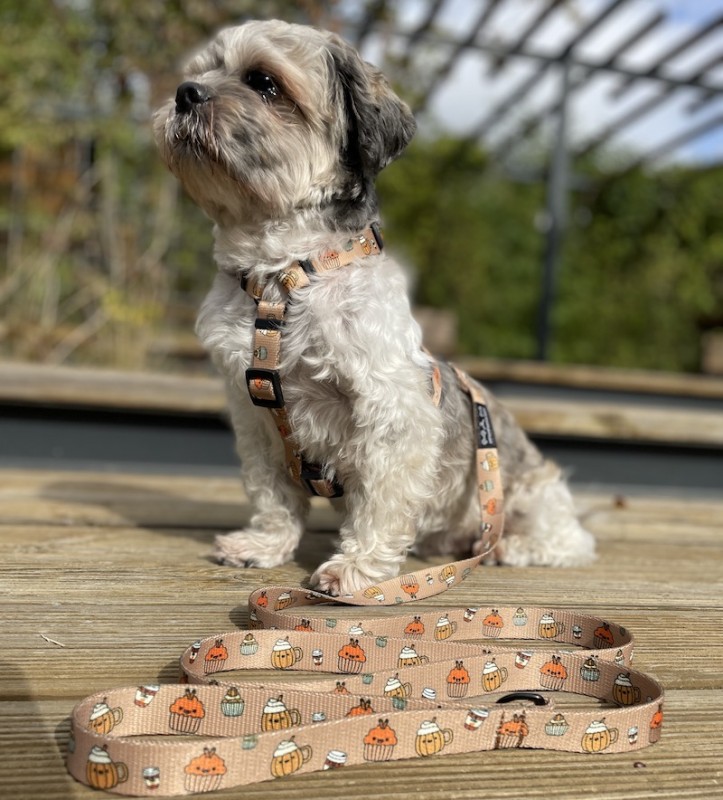 Adjustable dog leash Puppuccino | PETZWELCOME