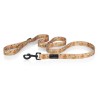 Puppuccino city leash for dogs | PETZWELCOME
