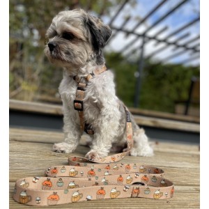 Puppuccino city leash for dogs | PETZWELCOME