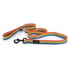 Rainbow urbanleash for dogs | PETZWELCOME