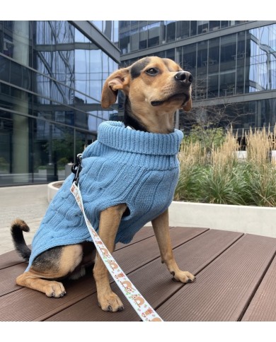 Dog sweater ASPEN blue | Bowl and Bone Republic | PETZWELCOME