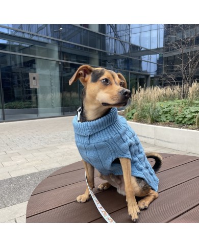Dog sweater ASPEN blue | Bowl and Bone Republic | PETZWELCOME