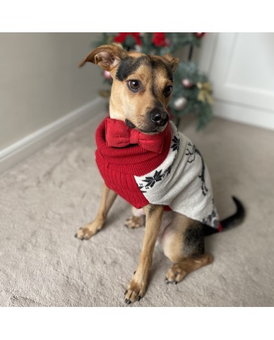 CHRISTMAS JUMPER FOR A REINDEER DOG | PETZWELCOME