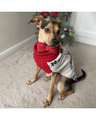 CHRISTMAS JUMPER FOR A REINDEER DOG | PETZWELCOME