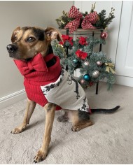 ŚWIĄTECZNY SWETEREK DLA PSA  REINDEER  | PETZWELCOME