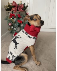 CHRISTMAS JUMPER FOR A REINDEER DOG | PETZWELCOME