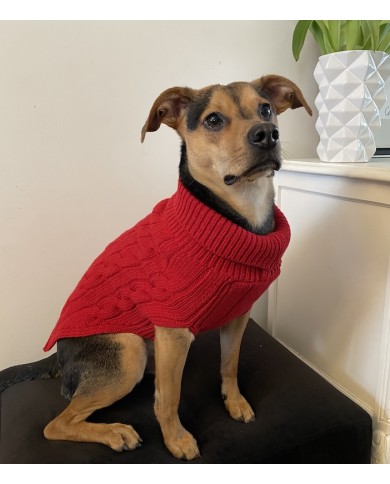 Dog sweater ASPEN blue | Bowl and Bone Republic | PETZWELCOME