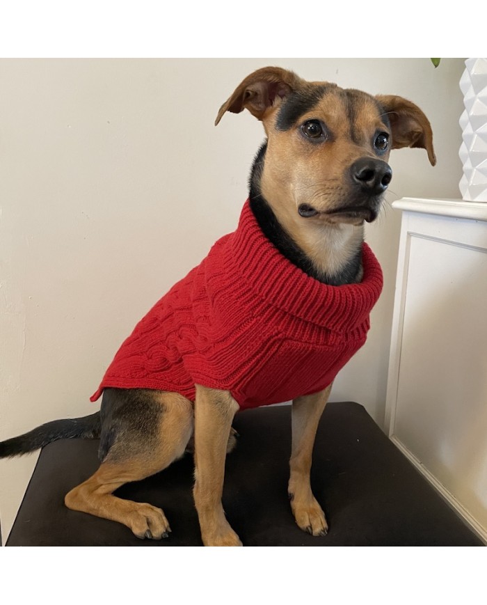 Dog sweater ASPEN blue | Bowl and Bone Republic | PETZWELCOME