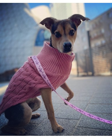 Dog sweater ASPEN pink | Bowl and Bone Republic | PETZWELCOME